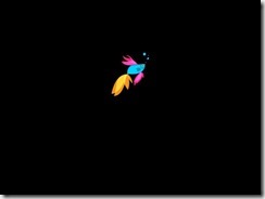 Windows 8.1 Preview Installation