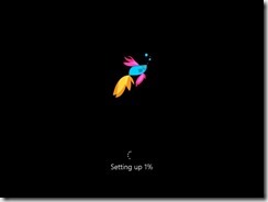 Windows 8.1 Preview Installation